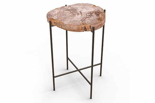 Кофейные столы, стол Журнальный стол ПАЛИАТ 382687 из окаменелого дерева - фотография №1