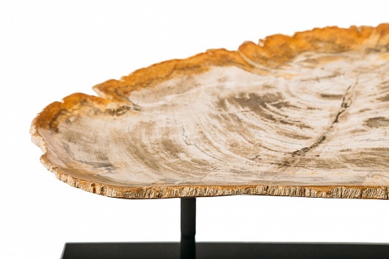 Декоративная тарелка 382350 из окаменелого дерева - фотография №1
