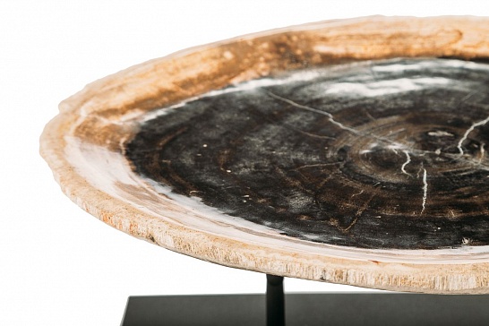 Декоративная тарелка 382370 из окаменелого дерева - фотография №1