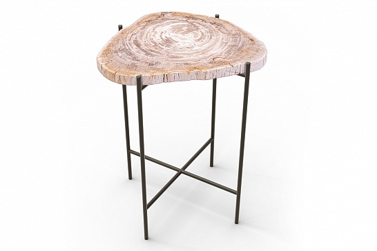 Кофейные столы, стол Журнальный стол ПАЛИАТ 382699 из окаменелого дерева - фотография №1