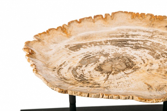 Декоративная тарелка 382348 из окаменелого дерева - фотография №1