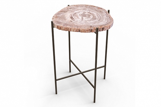 Кофейные столы, стол Журнальный стол ПАЛИАТ 382690 из окаменелого дерева - фотография №1