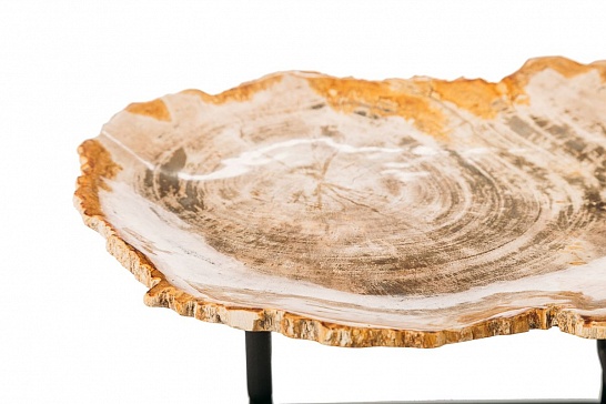 Декоративная тарелка 382347 из окаменелого дерева - фотография №1