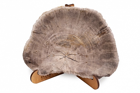 Декоративная тарелка 382434 из окаменелого дерева - фотография №1