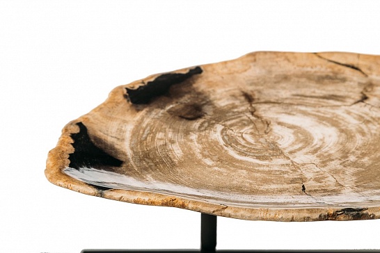 Декоративная тарелка 382352 из окаменелого дерева - фотография №1