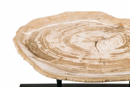 Декоративная тарелка 382338 из окаменелого дерева - фотография №1