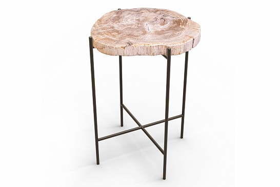 Кофейные столы, стол Журнальный стол ПАЛИАТ 382697 из окаменелого дерева - фотография №1