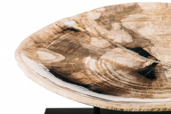 Декоративная тарелка 382373 из окаменелого дерева - фотография №1