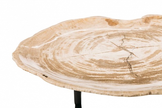 Декоративная тарелка 382339 из окаменелого дерева - фотография №1