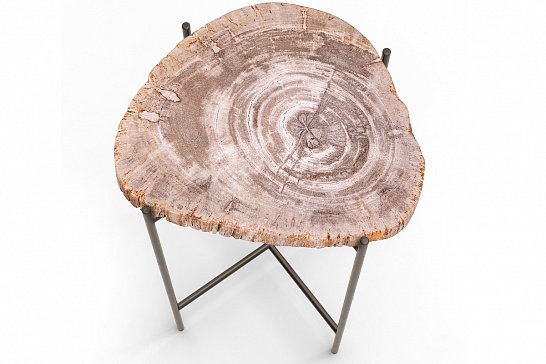 Кофейные столы, стол Журнальный стол ПАЛИАТ 382696 из окаменелого дерева - фотография №3