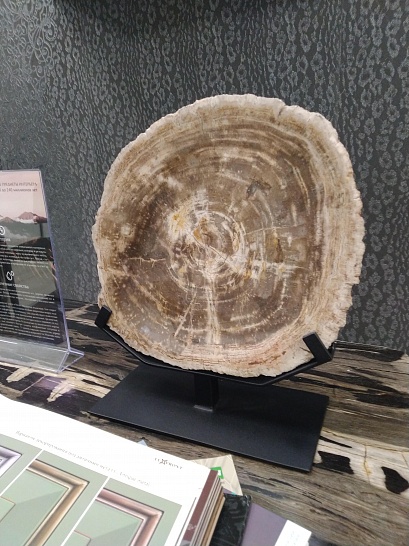 Декоративные тарелки из окаменелого дерева - фотография №4