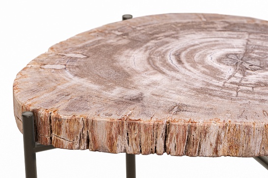 Кофейные столы, стол Журнальный стол ПАЛИАТ 382696 из окаменелого дерева - фотография №4