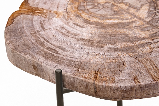Кофейные столы, стол Журнальный стол ПАЛИАТ 382693 из окаменелого дерева - фотография №4