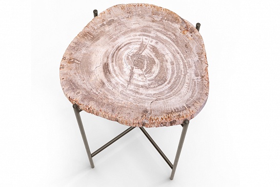 Кофейные столы, стол Журнальный стол ПАЛИАТ 382690 из окаменелого дерева - фотография №3