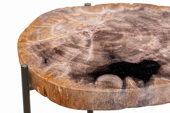 Кофейные столы, стол Журнальный стол ПАЛИАТ 382692 из окаменелого дерева - фотография №4