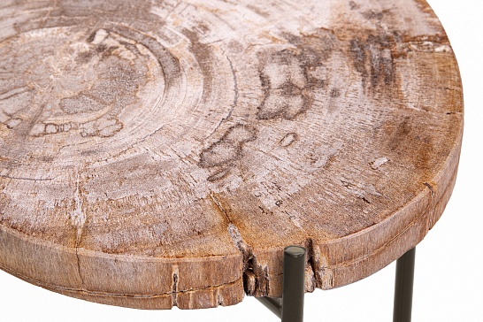 Кофейные столы, стол Журнальный стол ПАЛИАТ 382687 из окаменелого дерева - фотография №2