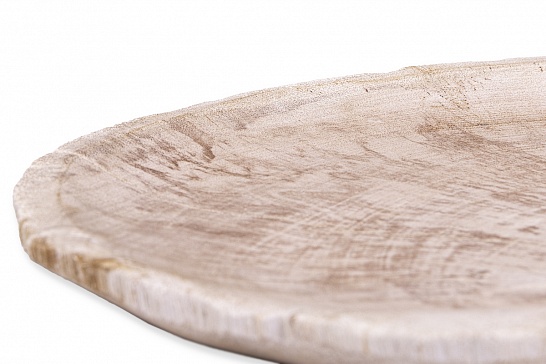 Декоративная тарелка 382424 из окаменелого дерева - фотография №4