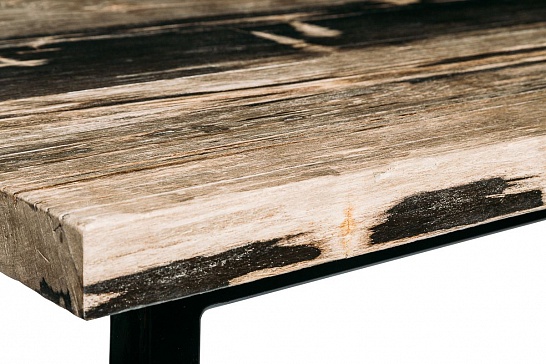 Большие столы, большой дизайнерский стол Журнальный стол СОЛАР 381376 из окаменелого дерева - фотография №2