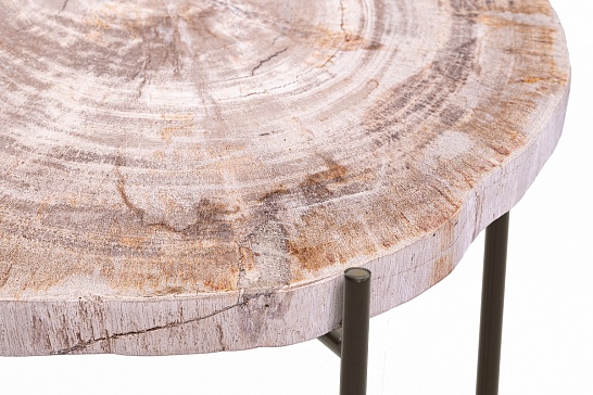 Кофейные столы, стол Журнальный стол ПАЛИАТ 382694 из окаменелого дерева - фотография №2