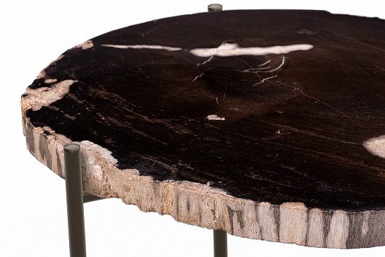Кофейные столы, стол Журнальный стол ПАЛИАТ 382700 из окаменелого дерева - фотография №4