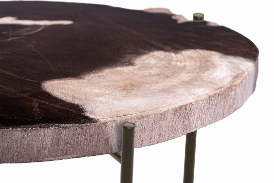Кофейные столы, стол Журнальный стол ПАЛИАТ 382700 из окаменелого дерева - фотография №2