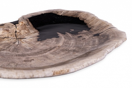 Декоративная тарелка 382433 из окаменелого дерева - фотография №2