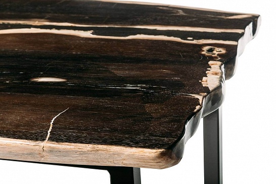 Большие столы, большой дизайнерский стол Обеденный стол БИНТАУ 381101 из окаменелого дерева - фотография №4