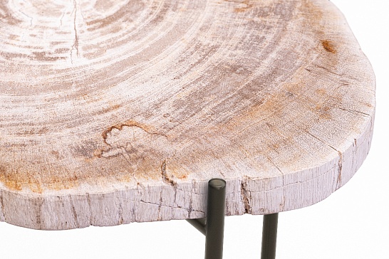 Кофейные столы, стол Журнальный стол ПАЛИАТ 382699 из окаменелого дерева - фотография №2