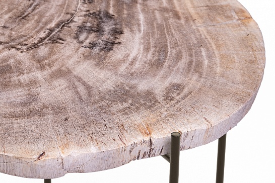Кофейные столы, стол Журнальный стол БИНТАУ 382686 из окаменелого дерева - фотография №2