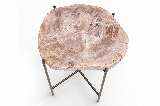 Кофейные столы, стол Журнальный стол ПАЛИАТ 382697 из окаменелого дерева - фотография №3