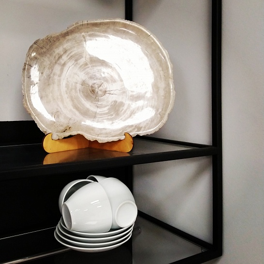 Декоративные тарелки из окаменелого дерева - фотография №8