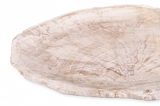 Декоративная тарелка 382443 из окаменелого дерева - фотография №2