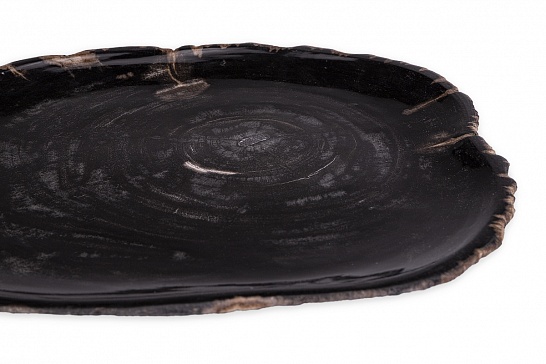 Декоративная тарелка 382410 из окаменелого дерева - фотография №2