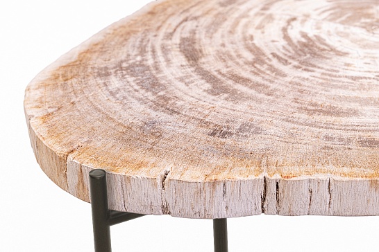Кофейные столы, стол Журнальный стол ПАЛИАТ 382699 из окаменелого дерева - фотография №4