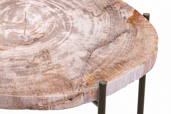 Кофейные столы, стол Журнальный стол ПАЛИАТ 382691 из окаменелого дерева - фотография №2