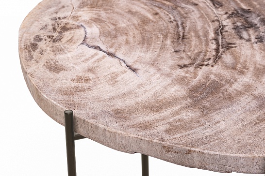 Кофейные столы, стол Журнальный стол БИНТАУ 382686 из окаменелого дерева - фотография №4