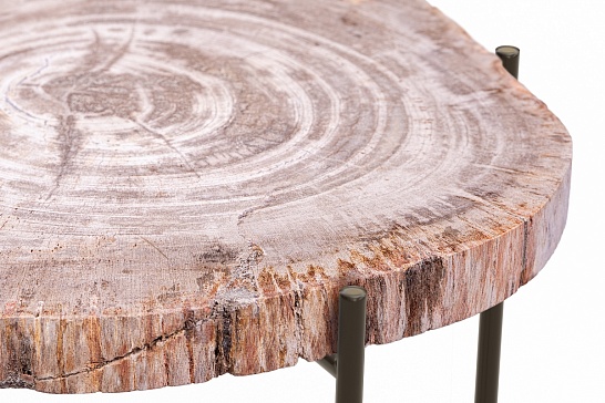Кофейные столы, стол Журнальный стол ПАЛИАТ 382690 из окаменелого дерева - фотография №2