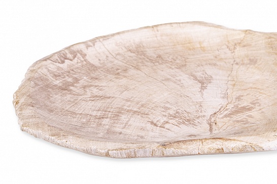 Декоративная тарелка 382426 из окаменелого дерева - фотография №2