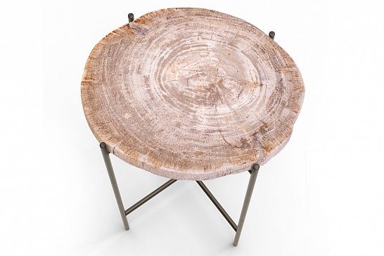 Кофейные столы, стол Журнальный стол ПАЛИАТ 382694 из окаменелого дерева - фотография №3