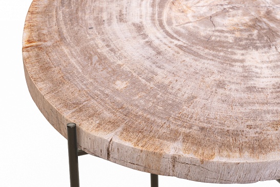 Кофейные столы, стол Журнальный стол ПАЛИАТ 382694 из окаменелого дерева - фотография №4