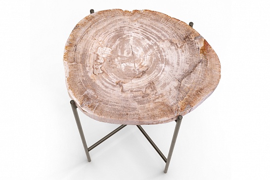 Кофейные столы, стол Журнальный стол ПАЛИАТ 382691 из окаменелого дерева - фотография №3