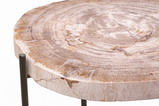 Кофейные столы, стол Журнальный стол ПАЛИАТ 382691 из окаменелого дерева - фотография №4