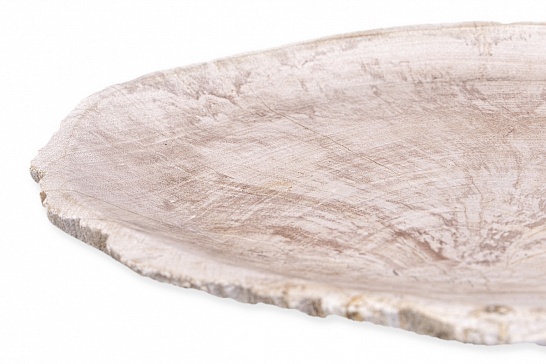 Декоративная тарелка 382443 из окаменелого дерева - фотография №4