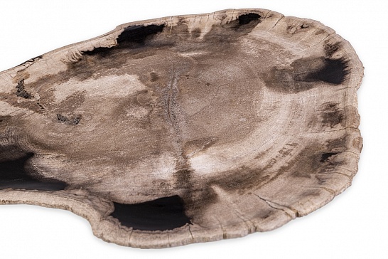 Декоративная тарелка 382400 из окаменелого дерева - фотография №2