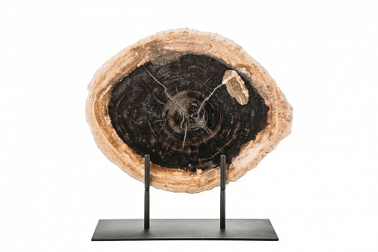 Декоративная тарелка 382370 из окаменелого дерева - фотография №2