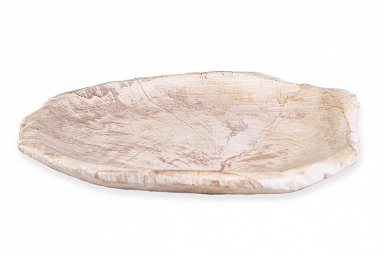 Декоративная тарелка 382426 из окаменелого дерева - фотография №3