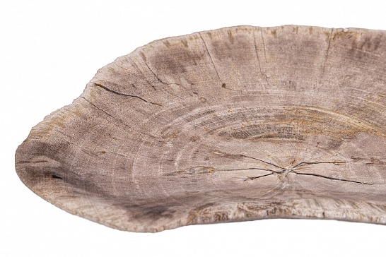 Декоративная тарелка 382434 из окаменелого дерева - фотография №2