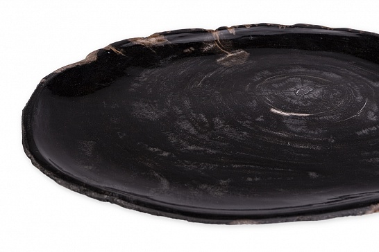 Декоративная тарелка 382410 из окаменелого дерева - фотография №3