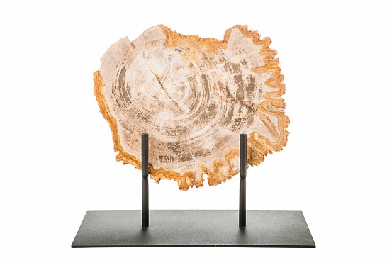 Декоративная тарелка 382381 из окаменелого дерева - фотография №2