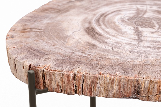 Кофейные столы, стол Журнальный стол ПАЛИАТ 382690 из окаменелого дерева - фотография №4